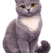 ヒメ日記 2026/03/19 11:48 投稿 広瀬かれん 恋する妻たち