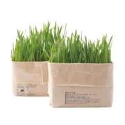 ヒメ日記 2026/04/04 09:58 投稿 広瀬かれん 恋する妻たち