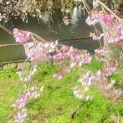 ヒメ日記 2026/04/18 11:58 投稿 広瀬かれん 恋する妻たち