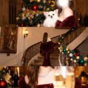 ヒメ日記 2025/12/23 11:27 投稿 えみり NEW GENERATION