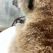 ヒメ日記 2025/05/12 20:20 投稿 めい 新宿・新大久保おかあさん