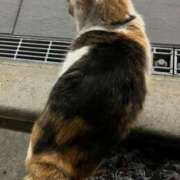 ヒメ日記 2025/05/30 12:00 投稿 めい 新宿・新大久保おかあさん