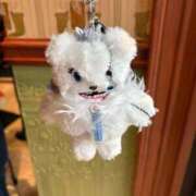 ヒメ日記 2025/11/27 13:47 投稿 あゆ 岐阜岐南各務原ちゃんこ