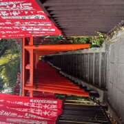 ヒメ日記 2024/12/29 22:42 投稿 ひな 成田人妻最高級倶楽部