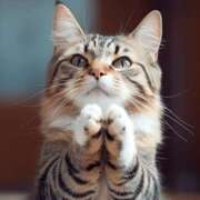 ヒメ日記 2025/01/07 23:39 投稿 ひな 成田人妻最高級倶楽部