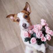 ヒメ日記 2025/01/12 17:08 投稿 ひな 成田人妻最高級倶楽部