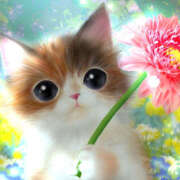 ヒメ日記 2025/01/19 17:33 投稿 ひな 成田人妻最高級倶楽部