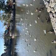 ヒメ日記 2025/01/22 09:37 投稿 ひな 成田人妻最高級倶楽部