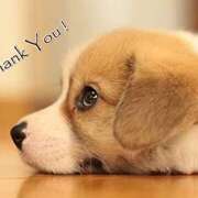 ヒメ日記 2025/01/23 16:44 投稿 ひな 成田人妻最高級倶楽部