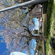 ヒメ日記 2025/04/04 20:40 投稿 ひな 成田人妻最高級倶楽部