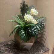 ヒメ日記 2025/04/20 17:27 投稿 ひな 成田人妻最高級倶楽部