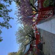 ヒメ日記 2025/05/28 09:46 投稿 ひな 成田人妻最高級倶楽部