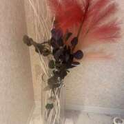 ヒメ日記 2025/08/29 21:17 投稿 ひな 成田人妻最高級倶楽部