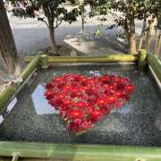 ヒメ日記 2025/10/18 21:17 投稿 ひな 成田人妻最高級倶楽部