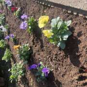 ヒメ日記 2025/11/07 21:23 投稿 ひな 成田人妻最高級倶楽部