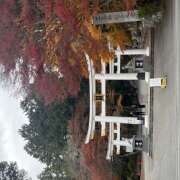 ヒメ日記 2025/11/13 20:05 投稿 ひな 成田人妻最高級倶楽部