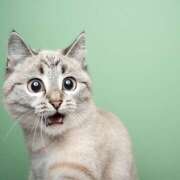 ヒメ日記 2026/01/08 16:41 投稿 ひな 成田人妻最高級倶楽部