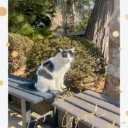 ヒメ日記 2026/02/11 21:22 投稿 ひな 成田人妻最高級倶楽部