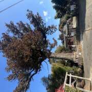 ひな バタバタと 成田人妻最高級倶楽部