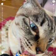 ヒメ日記 2026/03/13 21:27 投稿 ひな 成田人妻最高級倶楽部