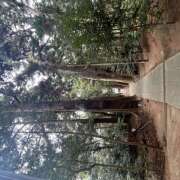 ひな 今日は 成田人妻最高級倶楽部