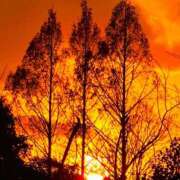 ヒメ日記 2024/12/30 23:44 投稿 いろは 成田人妻最高級倶楽部