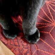 ヒメ日記 2025/01/18 11:58 投稿 いろは 成田人妻最高級倶楽部