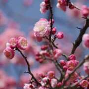 ヒメ日記 2025/02/24 10:12 投稿 いろは 成田人妻最高級倶楽部