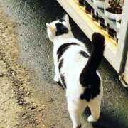 ヒメ日記 2025/03/07 09:30 投稿 いろは 成田人妻最高級倶楽部