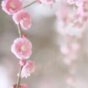 ヒメ日記 2025/03/14 13:16 投稿 いろは 成田人妻最高級倶楽部