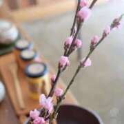 ヒメ日記 2025/03/22 08:22 投稿 いろは 成田人妻最高級倶楽部