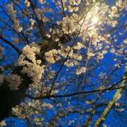 ヒメ日記 2025/04/01 20:16 投稿 いろは 成田人妻最高級倶楽部