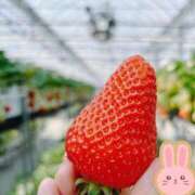 ヒメ日記 2025/04/24 23:03 投稿 いろは 成田人妻最高級倶楽部