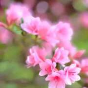 ヒメ日記 2025/05/02 21:56 投稿 いろは 成田人妻最高級倶楽部