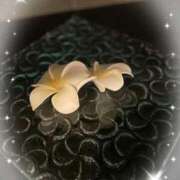 ヒメ日記 2025/05/18 08:11 投稿 いろは 成田人妻最高級倶楽部