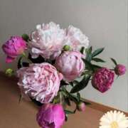 ヒメ日記 2025/05/19 12:01 投稿 いろは 成田人妻最高級倶楽部