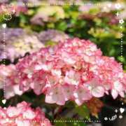 ヒメ日記 2025/05/23 13:49 投稿 いろは 成田人妻最高級倶楽部