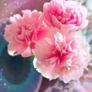 ヒメ日記 2025/05/26 10:23 投稿 いろは 成田人妻最高級倶楽部