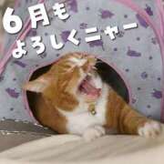 ヒメ日記 2025/06/01 09:54 投稿 いろは 成田人妻最高級倶楽部