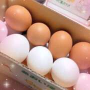 ヒメ日記 2025/06/07 01:45 投稿 いろは 成田人妻最高級倶楽部