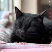 ヒメ日記 2025/06/23 20:06 投稿 いろは 成田人妻最高級倶楽部