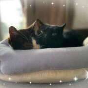 ヒメ日記 2025/07/09 22:30 投稿 いろは 成田人妻最高級倶楽部