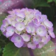 ヒメ日記 2025/07/16 14:23 投稿 いろは 成田人妻最高級倶楽部