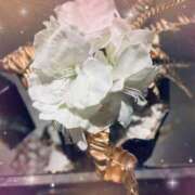 ヒメ日記 2025/07/18 00:32 投稿 いろは 成田人妻最高級倶楽部