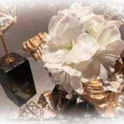 ヒメ日記 2025/07/28 22:45 投稿 いろは 成田人妻最高級倶楽部