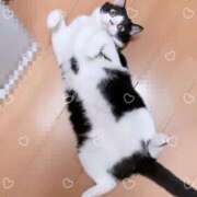 ヒメ日記 2025/08/06 18:34 投稿 いろは 成田人妻最高級倶楽部