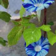 ヒメ日記 2025/08/09 10:02 投稿 いろは 成田人妻最高級倶楽部