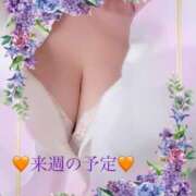 ヒメ日記 2025/08/16 19:29 投稿 いろは 成田人妻最高級倶楽部