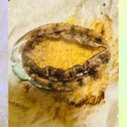 ヒメ日記 2025/01/03 12:32 投稿 ほのか 成田人妻最高級倶楽部