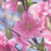 ヒメ日記 2025/02/17 09:15 投稿 ほのか 成田人妻最高級倶楽部